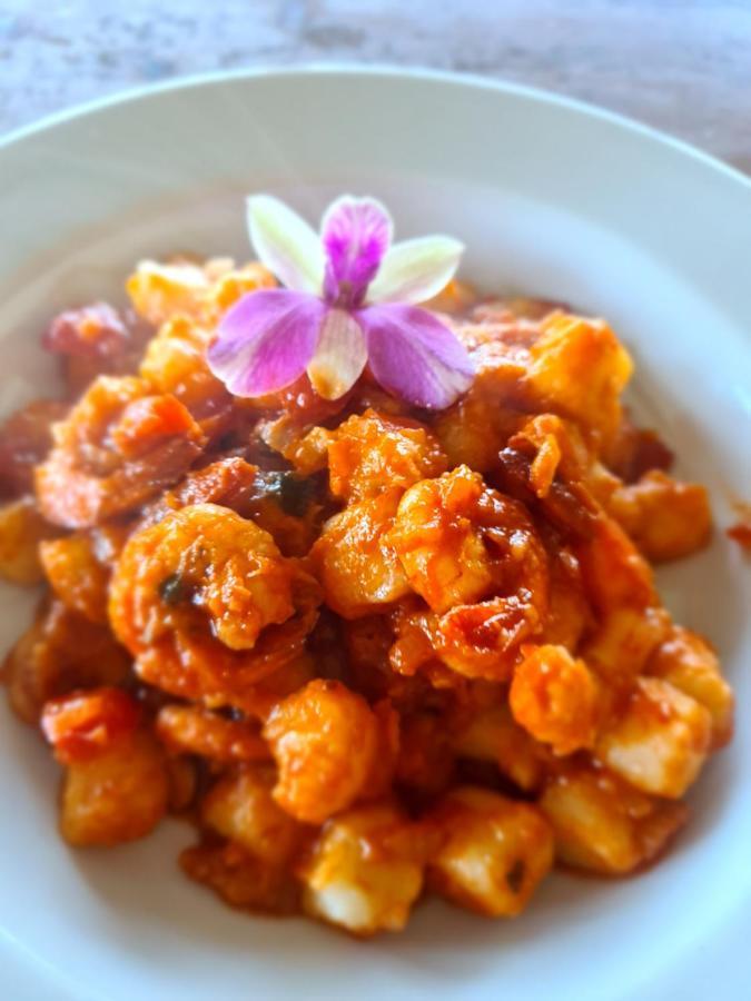Casa Marrom Do Chef Διαμέρισμα Araranguá Εξωτερικό φωτογραφία